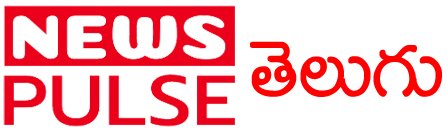 News Pulse Telugu